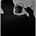 User Russ_R avatar