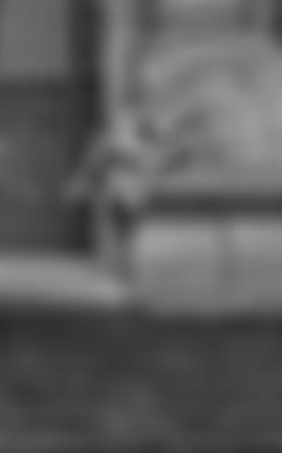 Blur image