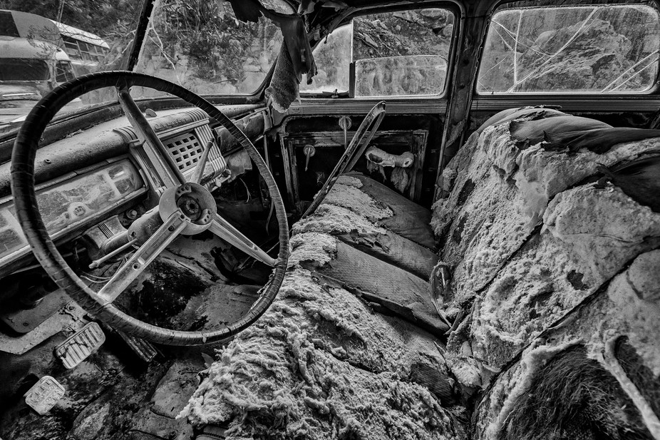 Rotting Away Car