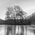 Monochrome Earth Photo Contest