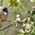 Focus Forward Photo Contest