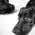 Only Pets Photo Contest