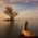 Everything Nature Photo Contest