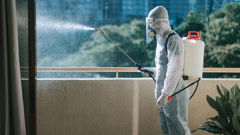 Choosing a Pest Control Service: Key Factors to Consider