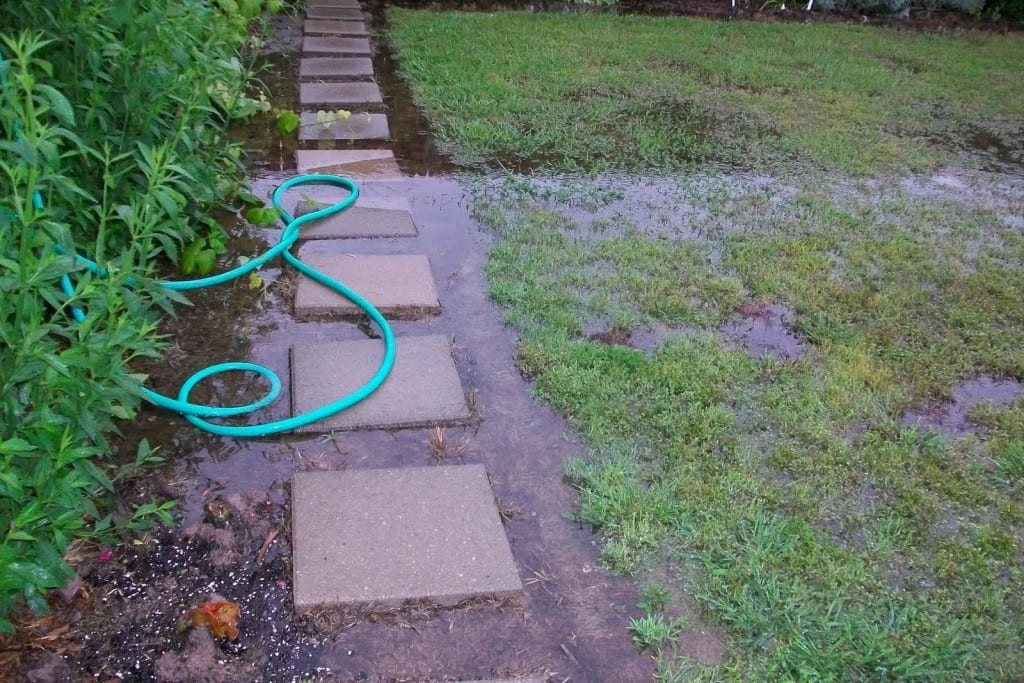 Transform Your Garden with a Proper Drainage System